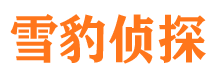 青山区市侦探调查公司